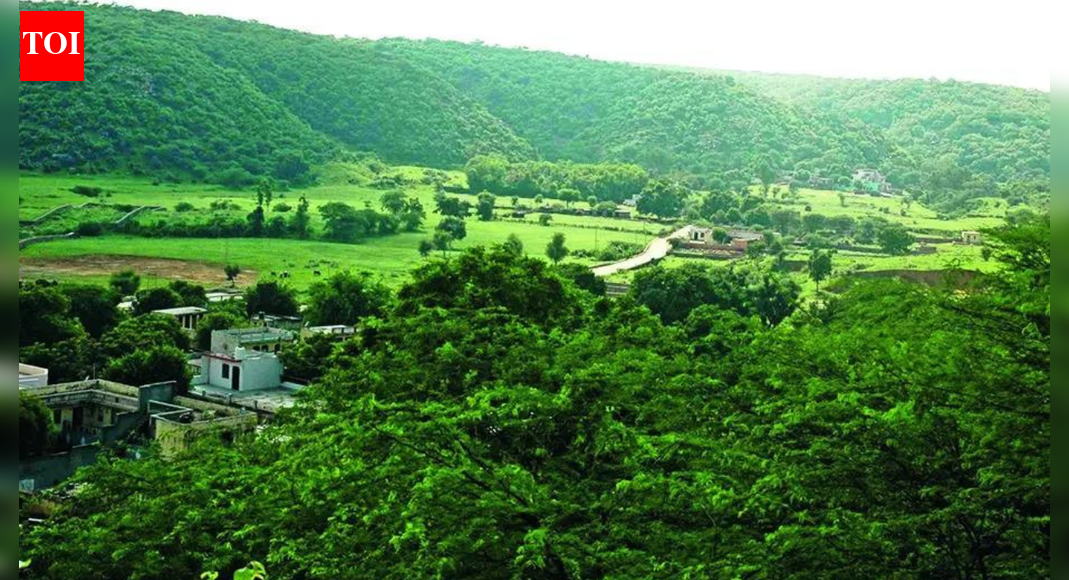 Rajasthan: Over 1,230 mine leases exist across Aravalis in the state