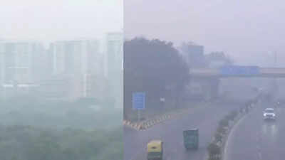 Delhi air pollution: AQI hits 391, city back in ‘severe’ category; Mumbai’s Bandra records 'moderate' 123