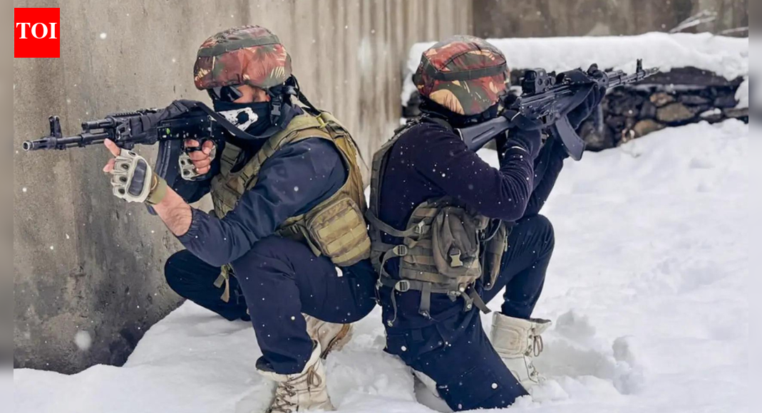 30–35 terrorists on radar: Army steps up counterterror ops in J&K; intense vigil amid 'Chillai Kalan'