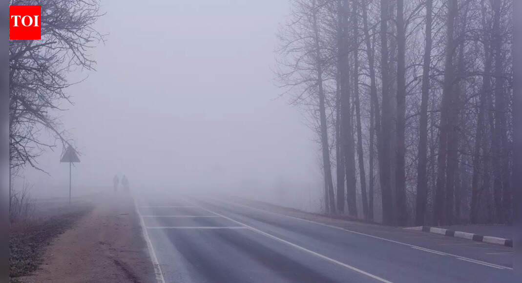 From hill stations to highways: How India’s winter weather may affect holiday travel