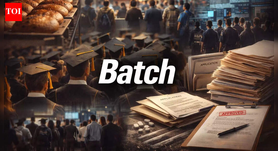 Batch: etymology, origin and how modern life learned to group everything