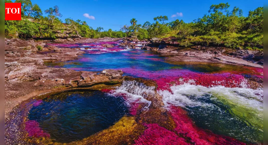Where is the River of Five Colours or the river called Liquid Rainbow?