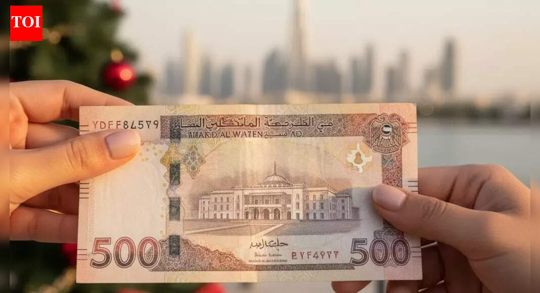 Watch viral video: Italian woman surprises Dubai delivery agent with 500 AED Christmas tip
