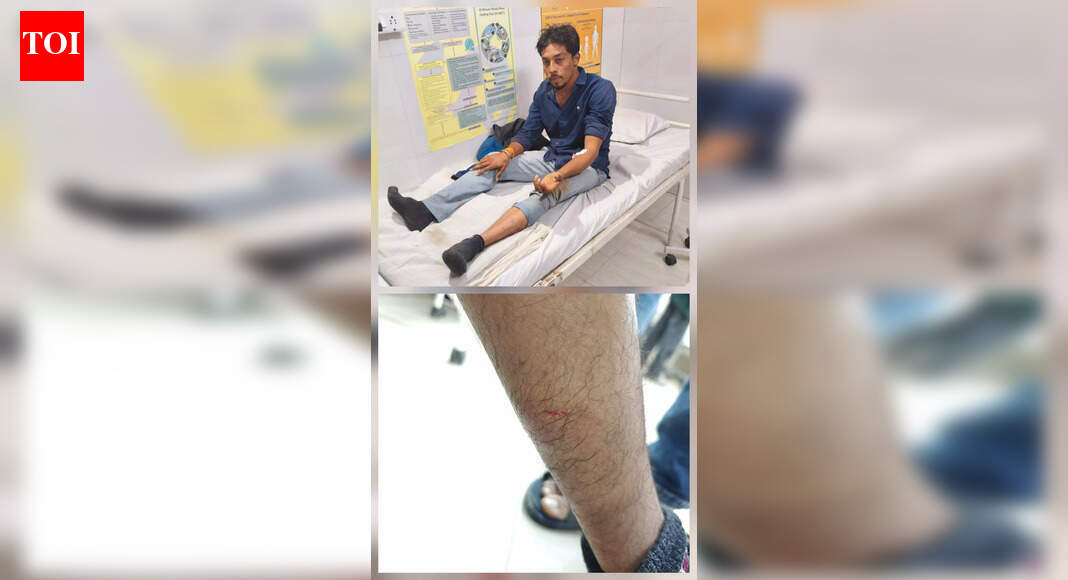 Madhya Pradesh: Motorcyclist injured after leopard attack near Indrapuri village in Barwani