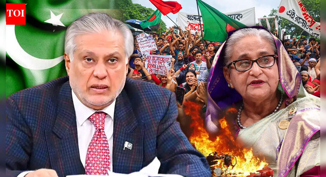 Pakistan FM Says Islamabad Will Proactively Rebuild Relations With Bangladesh Post Polls