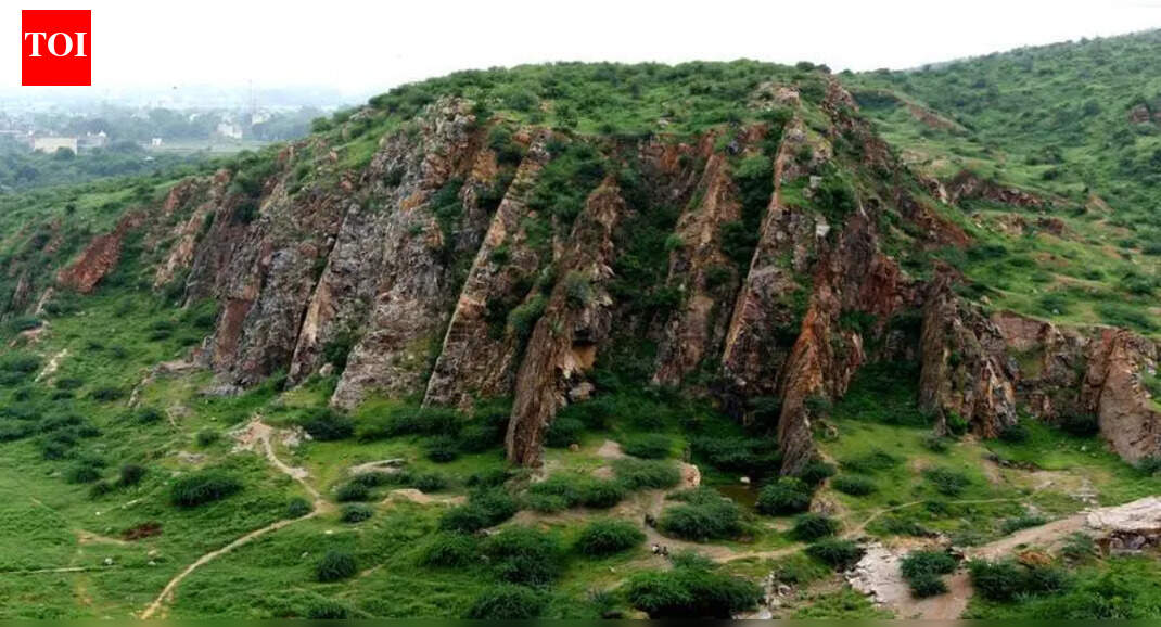 New definition threatens Aravalli hills, its biodiversity: Expert