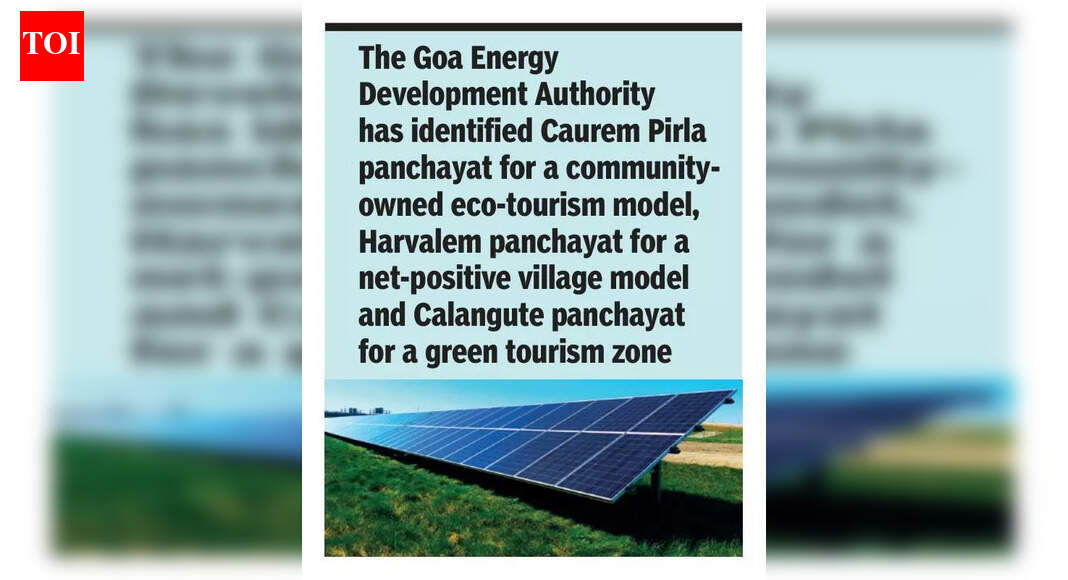 Goa govt to focus on energy efficiency for sustainable development in 3 villages