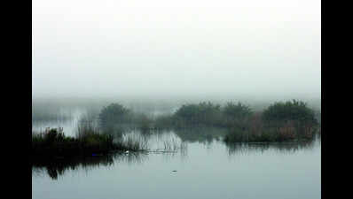 Dry and cool weather, misty mornings to prevail till Jan 3