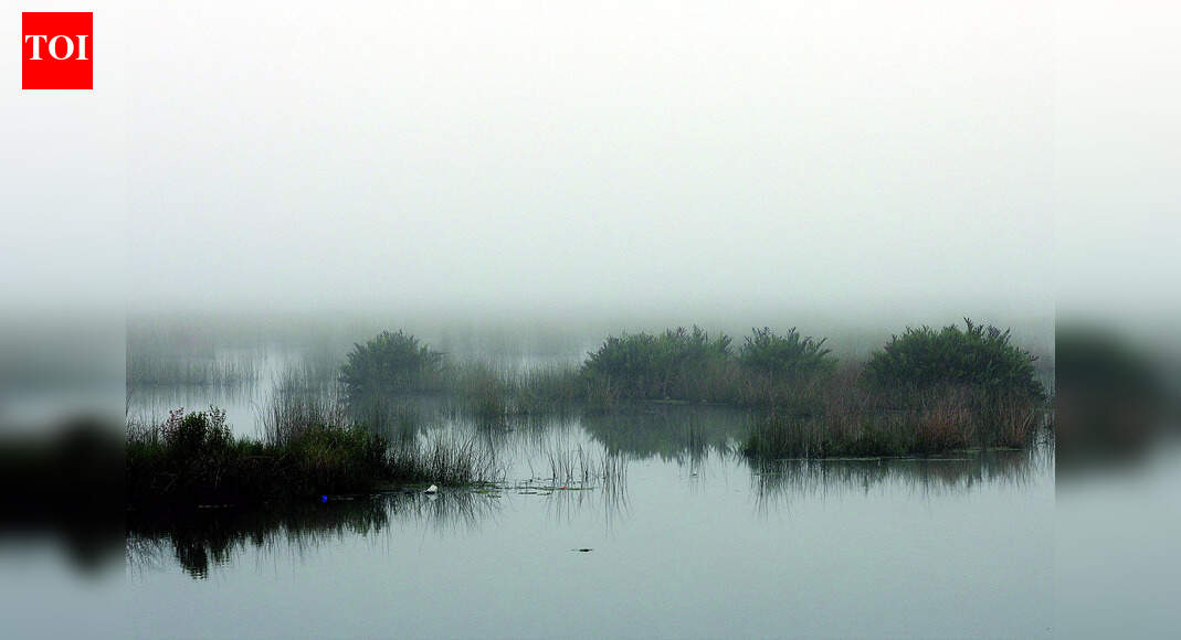 Dry and cool weather, misty mornings to prevail till Jan 3