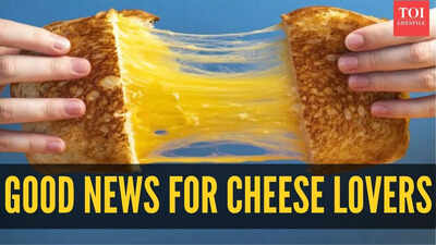 What happens to cholesterol when you eat cheese instead of butter? Good news for heart health this holiday season