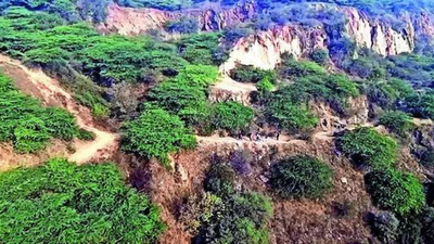 Supreme Court saved Aravalis for 20 years, and PMO on two occasions