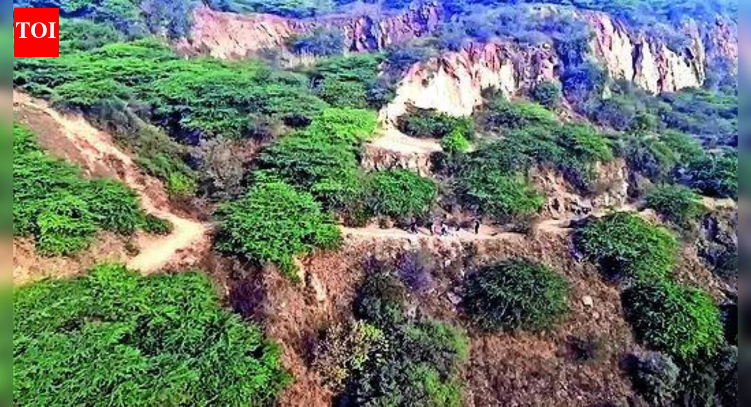 SC saved Aravalis for 20 yrs, and PMO on two occasions; experts slam new report