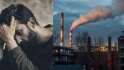 How dirty air fuels depression: PM 2.5 components linked to higher mental health risk in older adults