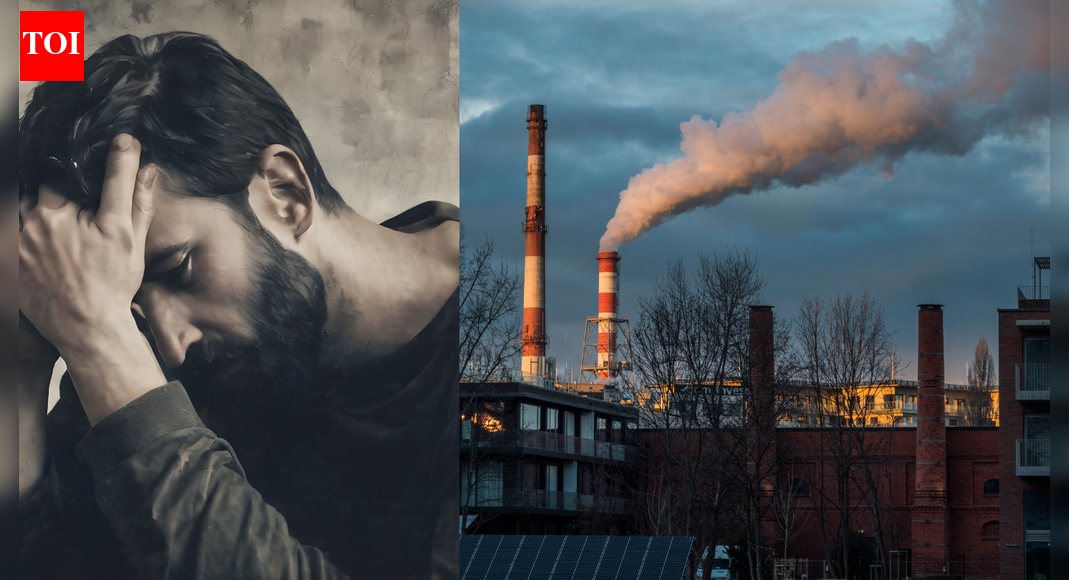 How dirty air fuels depression: PM 2.5 components linked to higher mental health risk in older adults