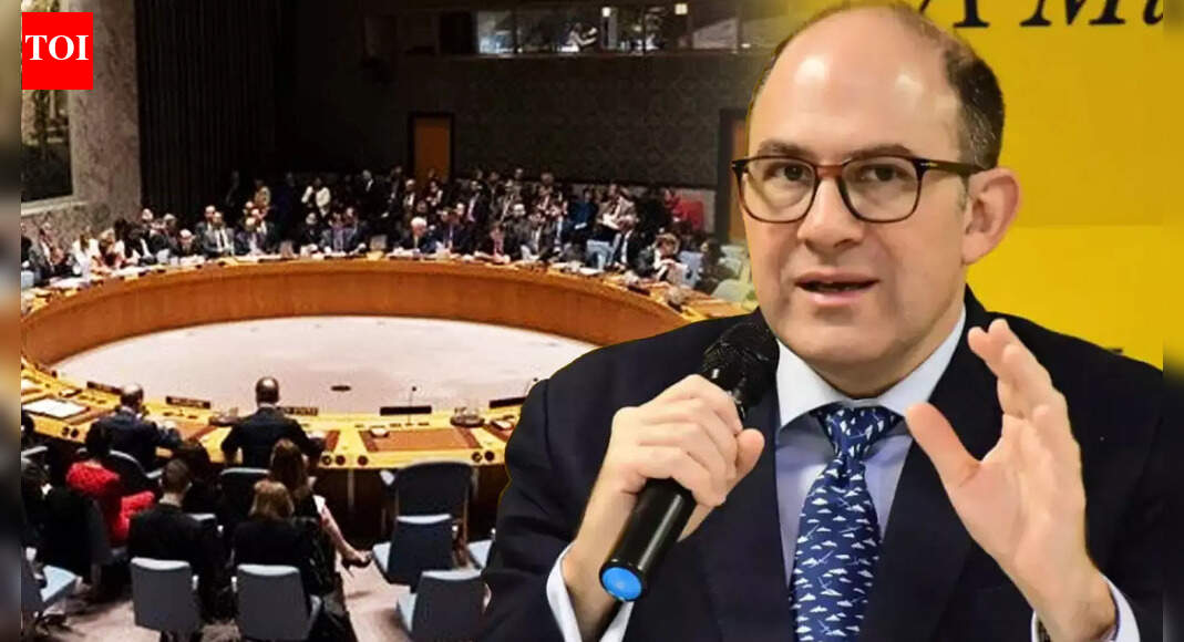 Argentina Backs Indias Permanent UNSC Seat, Says World Order Has Changed Beyond 1945 Model - Times of India thumbnail