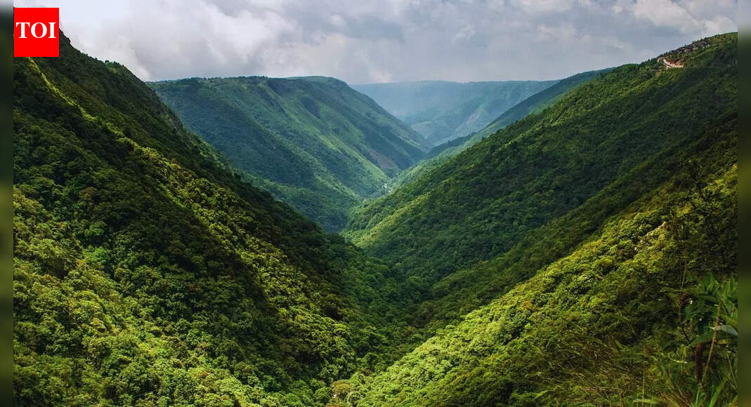 A museum like no other: What to expect from Meghalaya's rain museum?