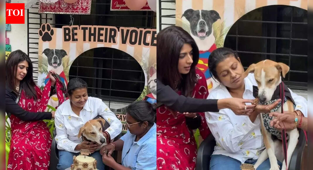 Jaya Bhattacharya and Aishwarya Sakhuja celebrate sexual assault survivor dog, Vijay’s first birthday