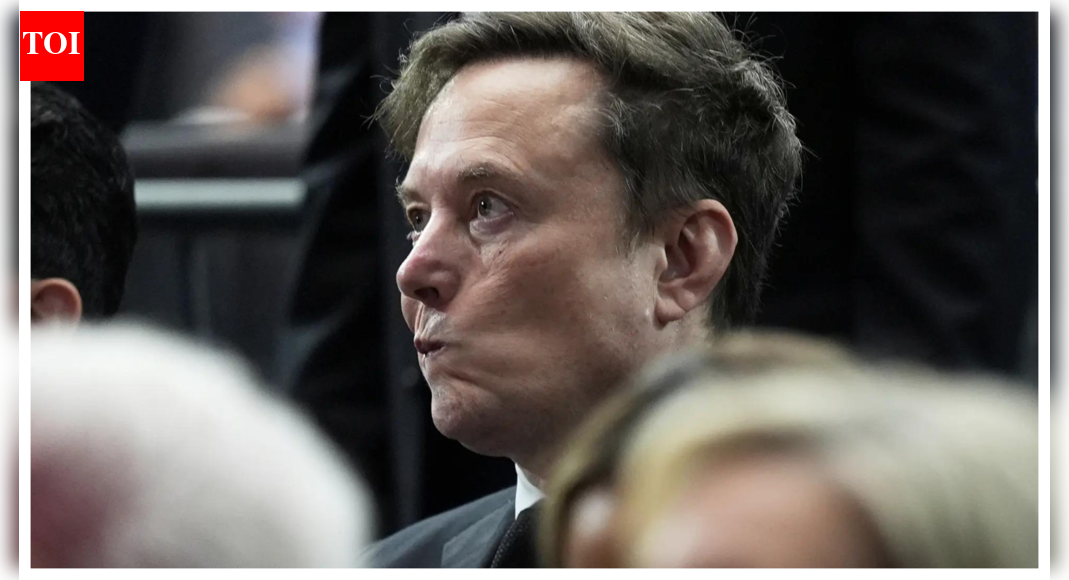 This is biggest fraud in history by far, says Elon Musk