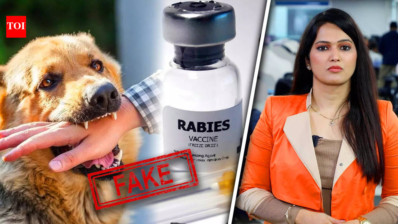 Australia, US And UK Raise Alarm Over Fake Rabies Vaccine As India ...