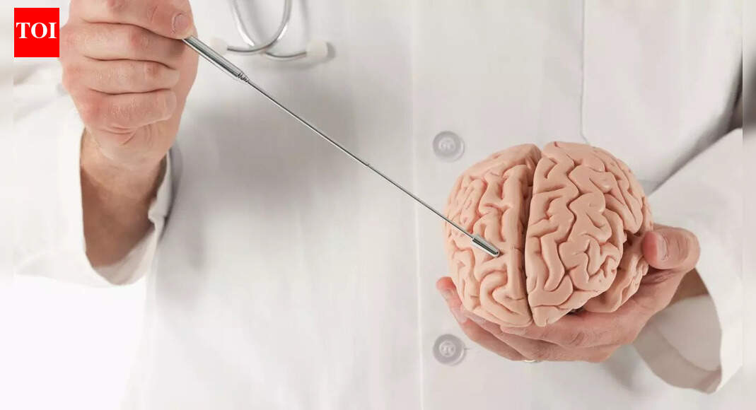 How brain worms can cause seizures in children: Neurologist breaks down risks, symptoms, and prevention