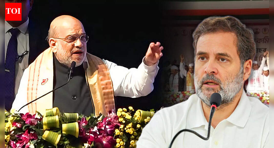 'Won’t Spare A Single Infiltrator': Amit Shah’s Poll Promise In Assam, Slams Cong Over Infiltration