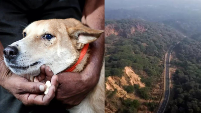 2025 a year of flip flops in SC, it overturns many orders, including on Aravali, within weeks & months