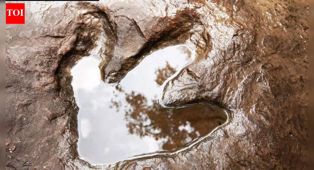 Scientists found more than 16,000 dinosaur footprints underwater in Bolivia