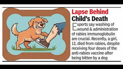 Fatal gap: Bengaluru doctors warn vaccine alone not enough for severe dogbites