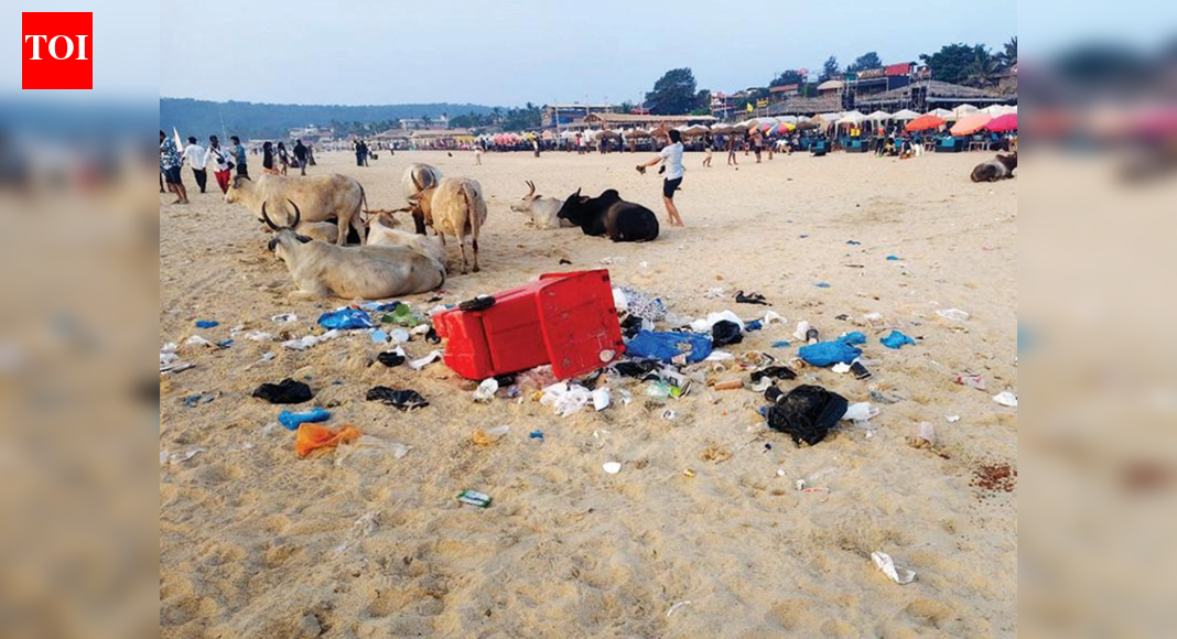 North Goa beach waste not collected for four days, shack owners demand action