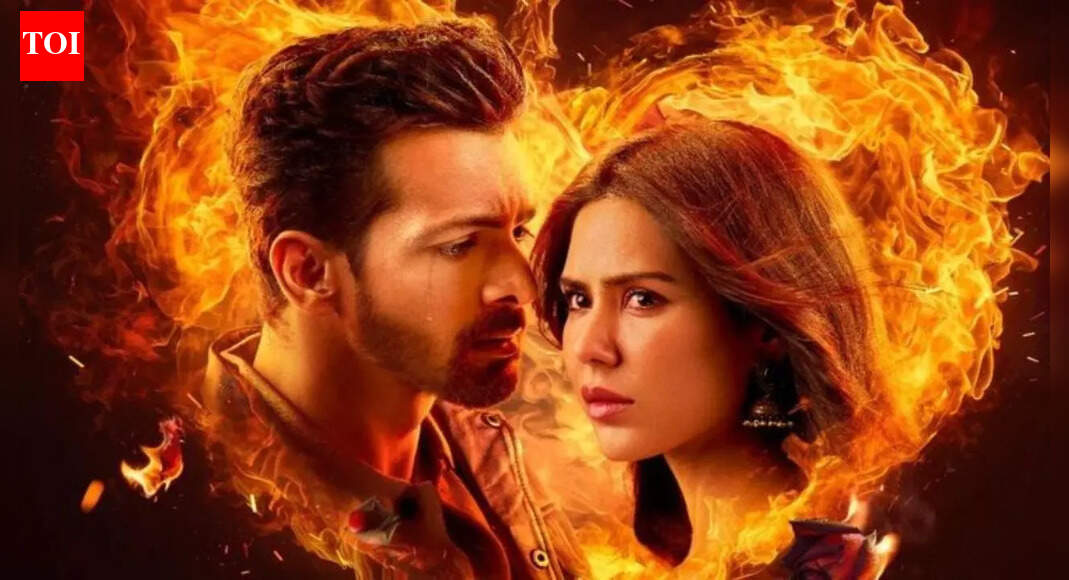 Harshvardhan Rane and Sonam Bajwa starrer 'Ek Deewane Ki Deewaniyat' ending explained