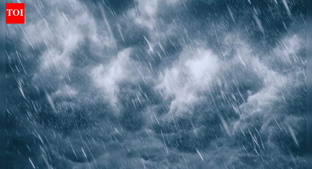 Will it rain in Northern India on Jan 1? This is what IMD data says