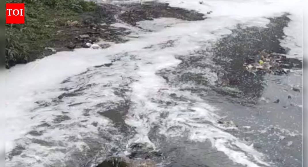 Chemical discharge poisons Rudrapur river, kills scores of fish