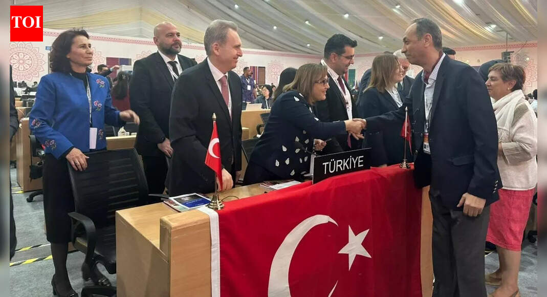 Türkiye secures UNESCO status for Antep İşi Embroidery