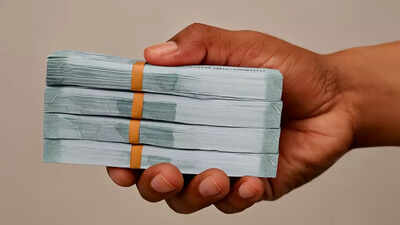 Budget 2026: Dividend collections set to scale new high; likely to beat budget estimates in FY26