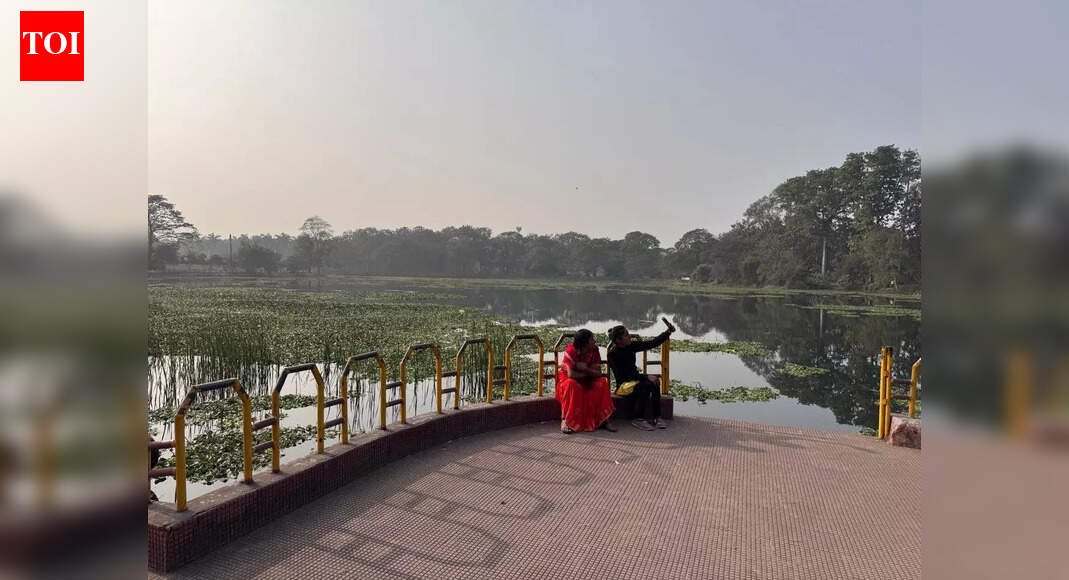 Bokaro City Park Neglect: Residents Slam BSL, Renovation Plans Underway