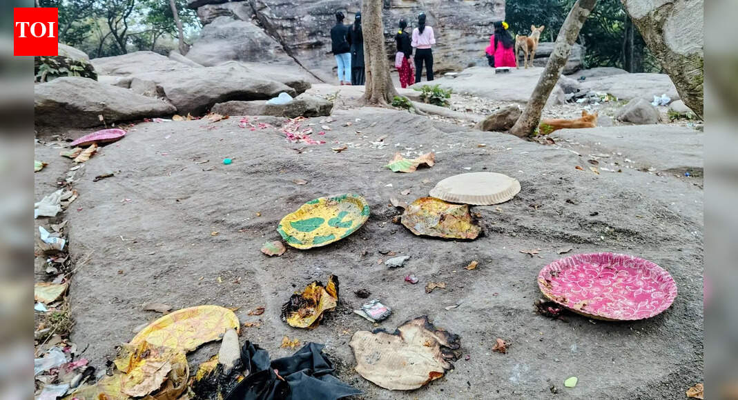 Minister warns of action against littering at tourist picnic spots in Odisha