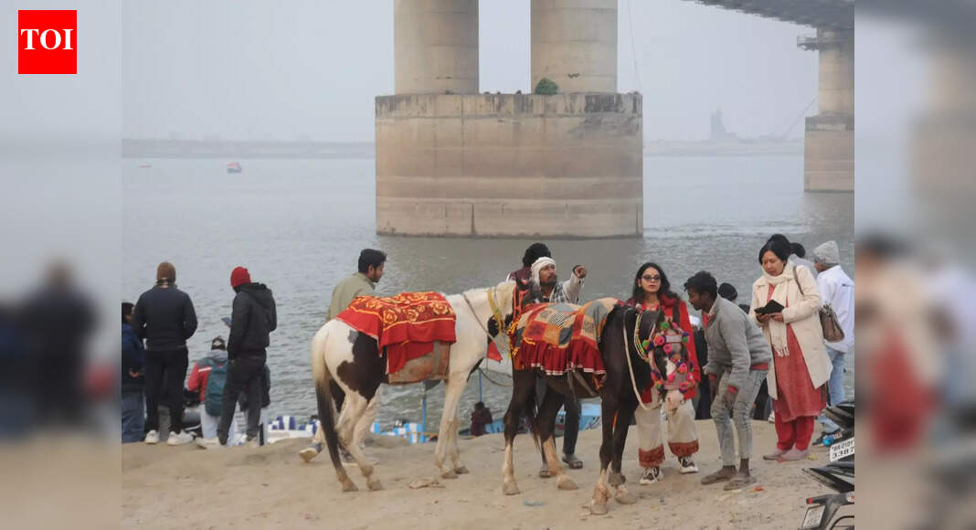 City to ring in 2026 with theme parties, fireworks