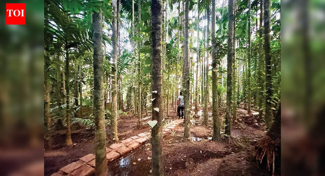 ‘All of Arambol’s kulaghars will die if hills in Bhatwadi are destroyed’