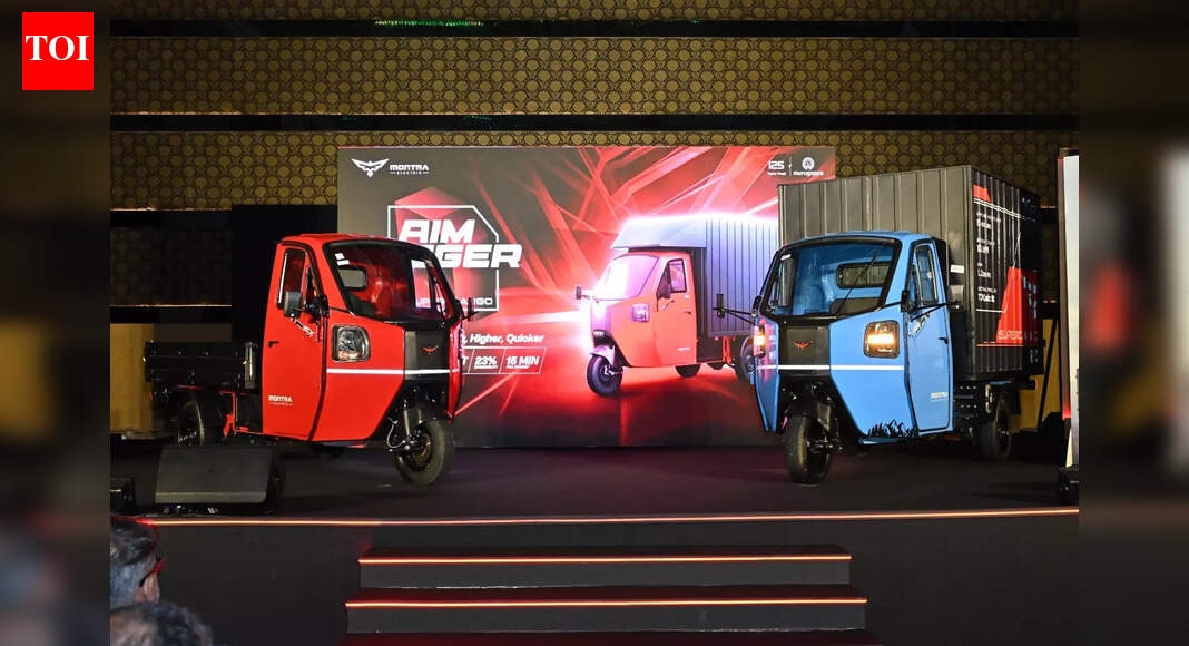 No more subsidy for electric three-wheelers: Govt meets target; scraps relief