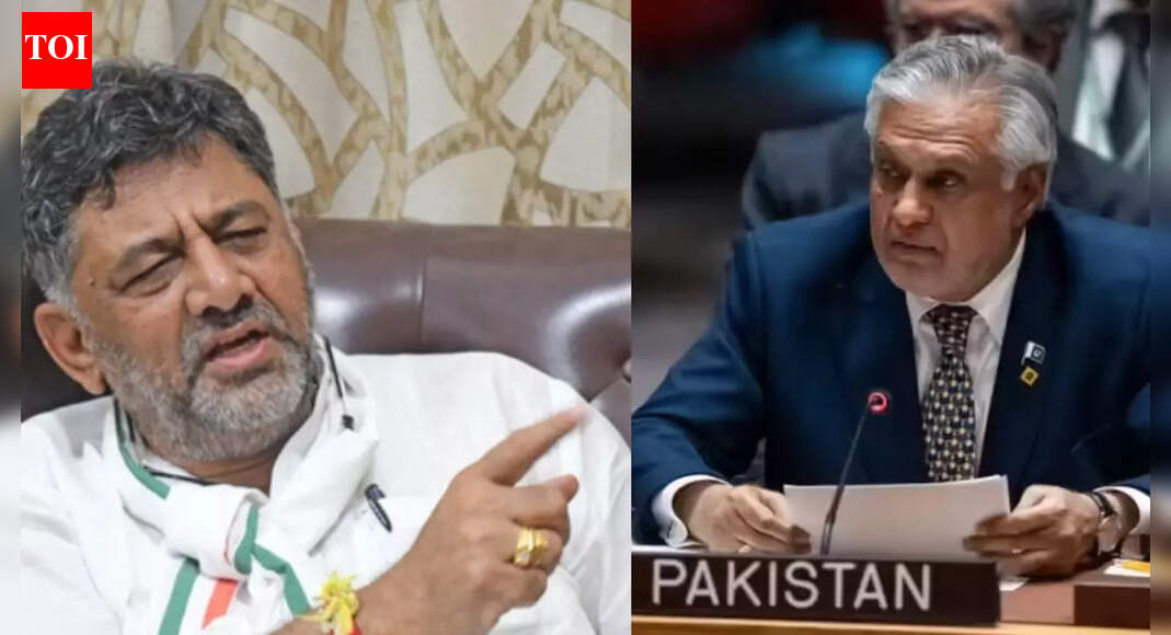 'Serious concern': Bengaluru bulldozer action draws Pakistan’s attention; no minority appeasement in crackdown, says DK Shivakumar