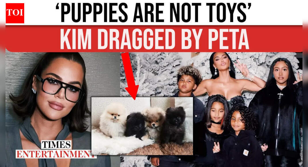 Kim Kardashian Beneath Hearth After Giving Puppies As Christmas Presents To Her Youngsters
