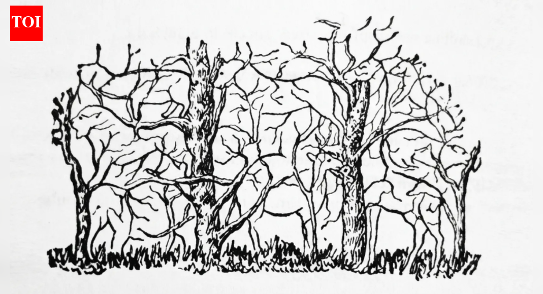 Optical illusion: The first animal you spot isn’t a personality test, but it says something about how you think