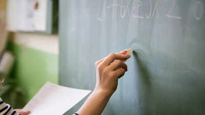 Rajasthan Pre DElEd registration ends today: Apply before deadline, direct link here