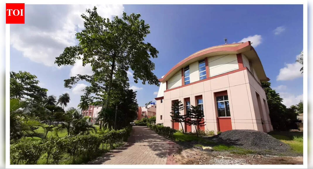 Rethinking management education for a data and AI-led economy