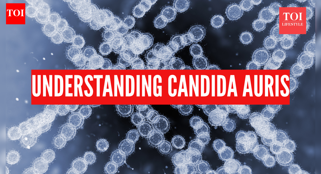 Candida Auris spreads across 27 US states: Symptoms of the deadly fungal infection and how to prevent it