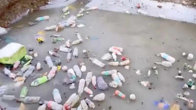 'Even at 13,000ft we have left our marks': Pond on Manimahesh Yatra route turns into garbage dump; viral video sparks outrage