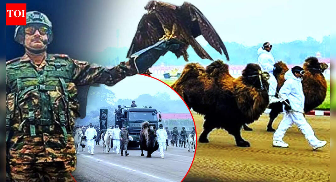 India's Silent Warriors On Kartavya Path Bring Army’s Battle-Tested Animals To Republic Day Parade