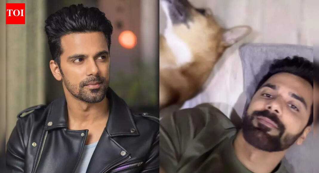 Anuj Sachdeva shares New Year post amid ongoing assault case, prays for kindness towards animals