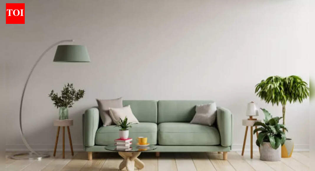 Items that bring bad luck according to Vastu