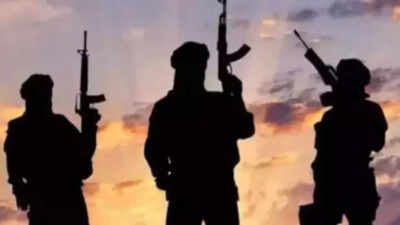 J&K: Police attach property of Pak-based handler in Poonch; UAPA invoked